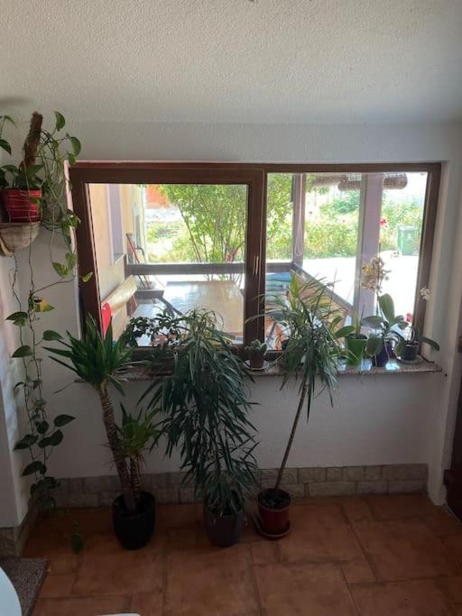 Room In Otocac Helena Εξωτερικό φωτογραφία