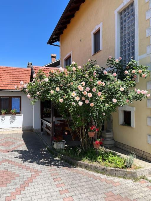 Room In Otocac Helena Εξωτερικό φωτογραφία